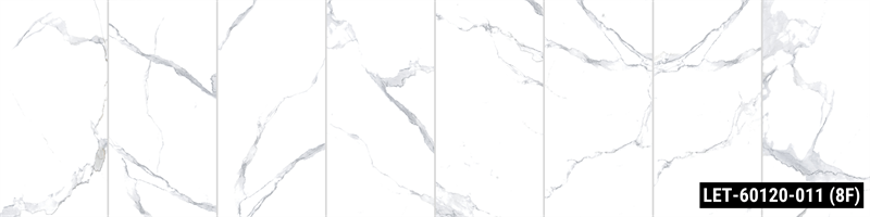 LET-60120-011